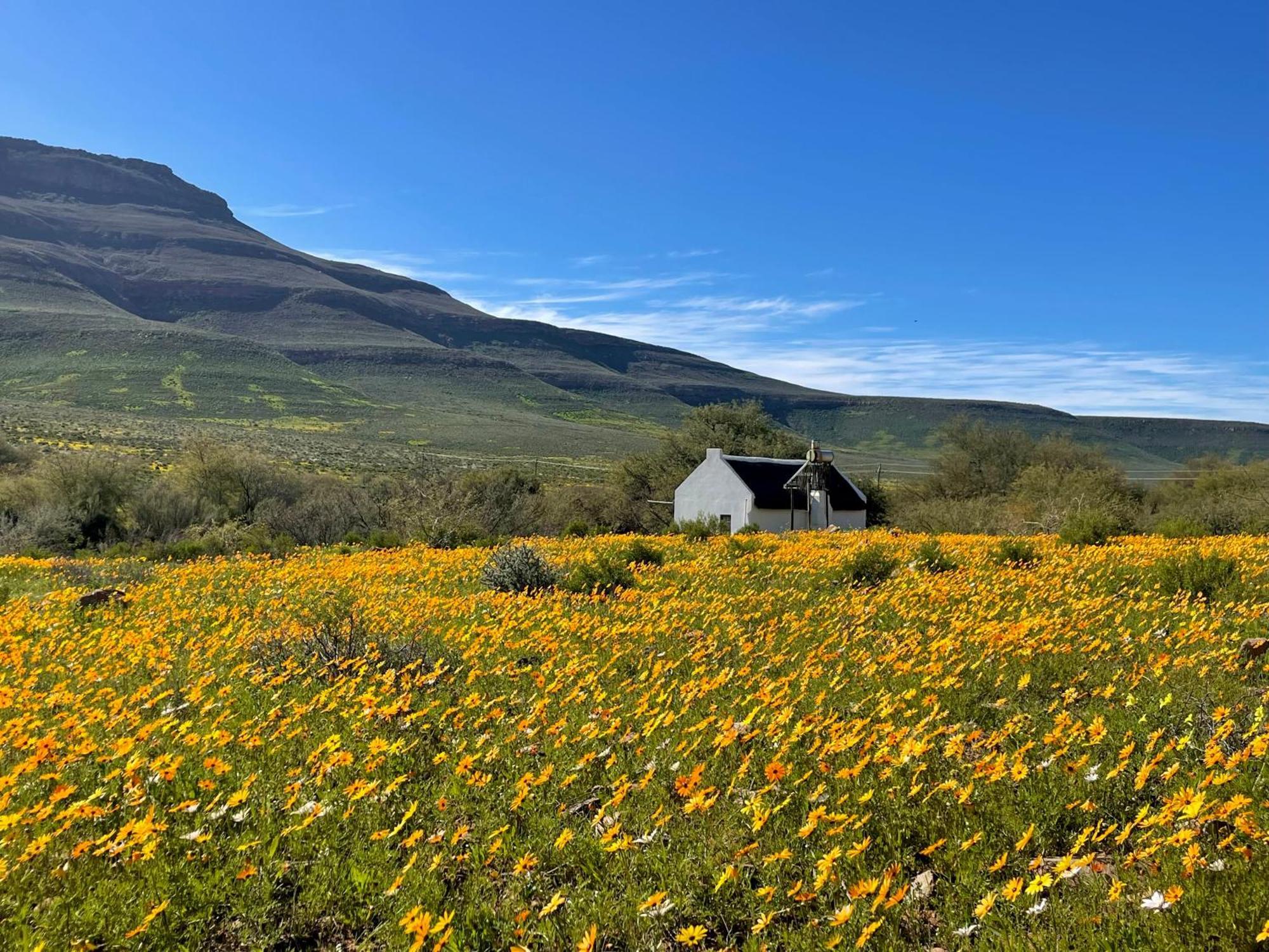 Enjo Nature Farm Clanwilliam Eksteriør billede