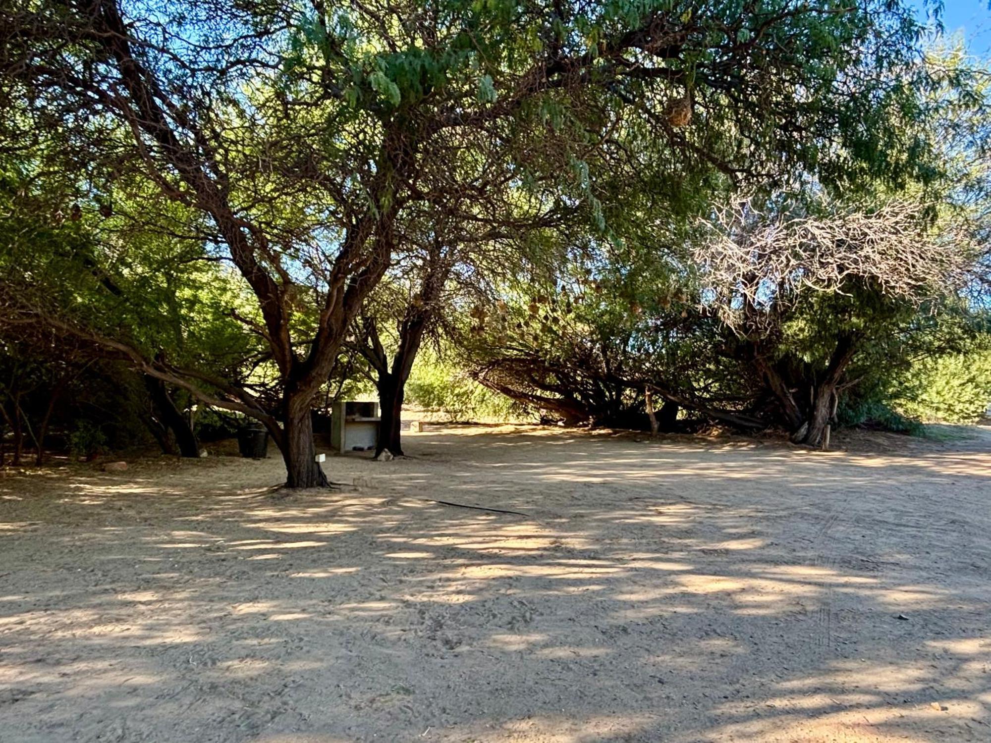 Enjo Nature Farm Clanwilliam Eksteriør billede