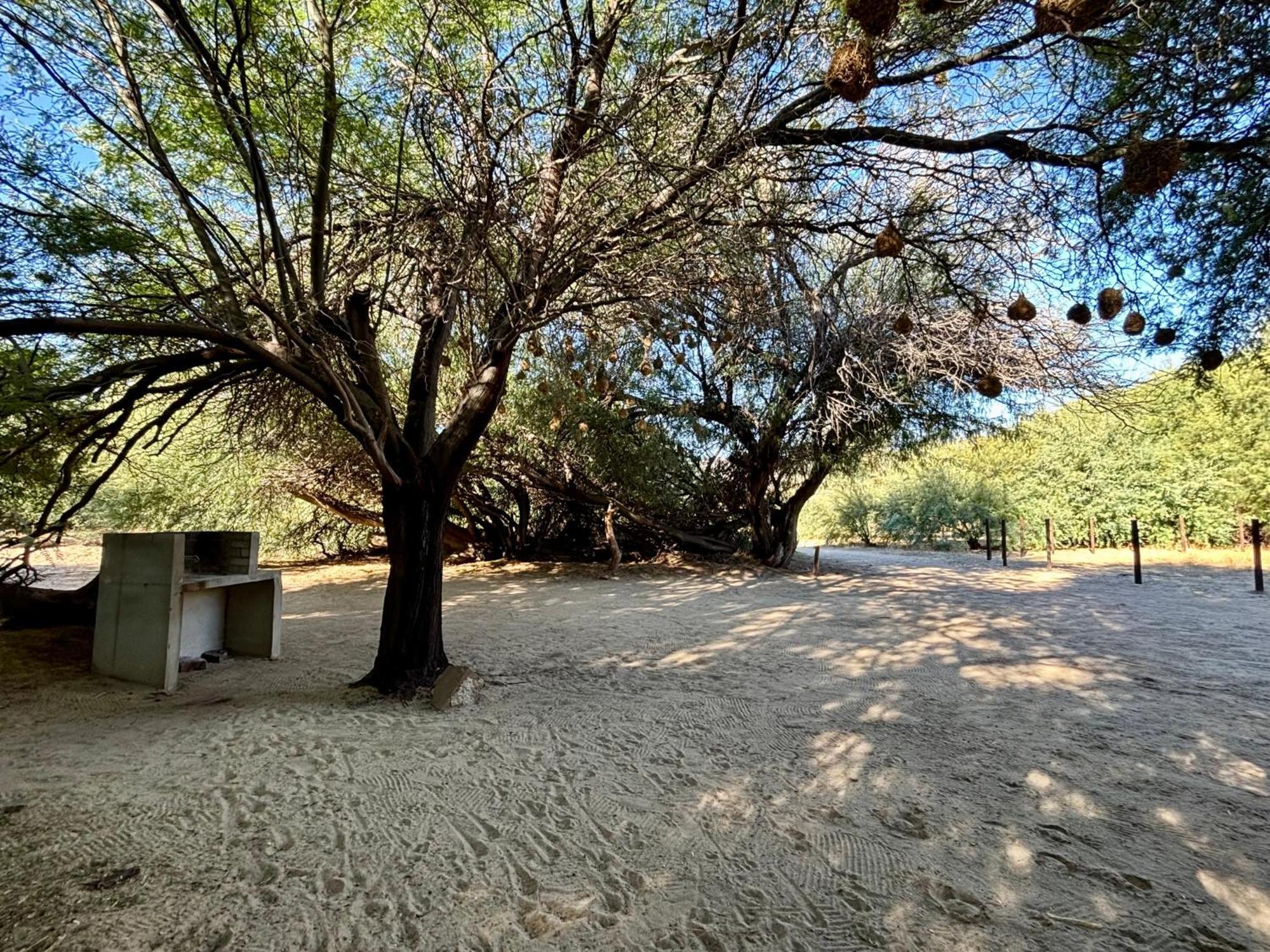 Enjo Nature Farm Clanwilliam Eksteriør billede